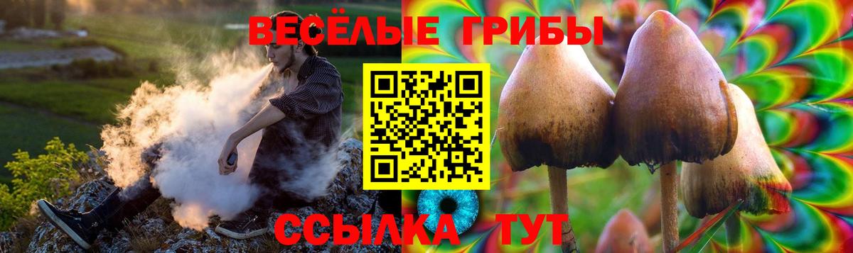 Галлюциногенные грибы прущие грибы Тавда