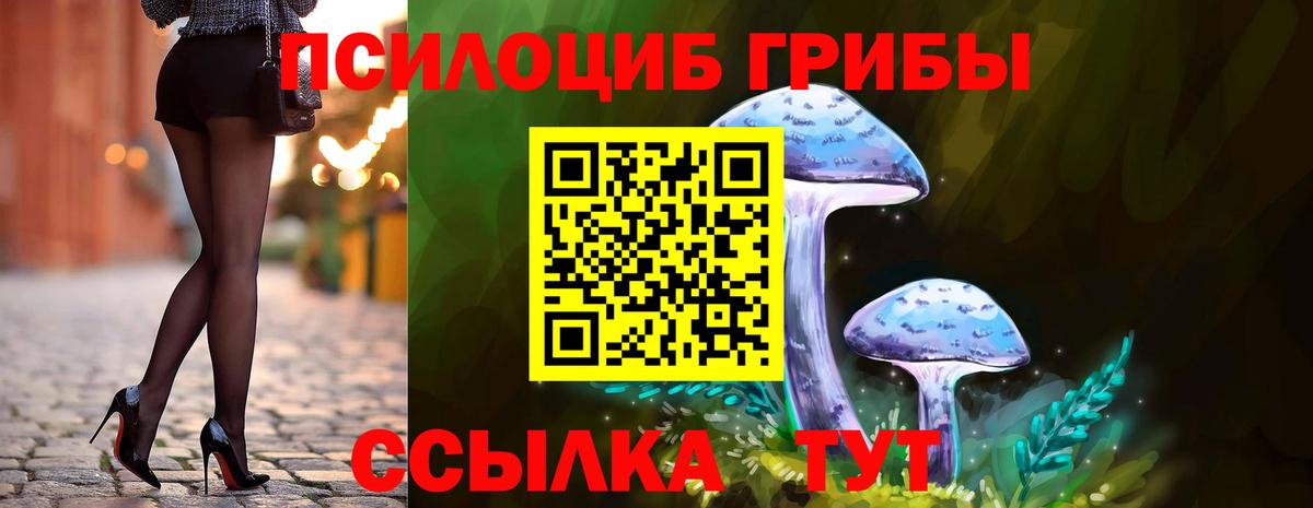 где купить наркотик  Галлюциногенные грибы GOLDEN TEACHER  Вход с VPN  Псилоцибиновые грибы Magic Shrooms  Тавда 